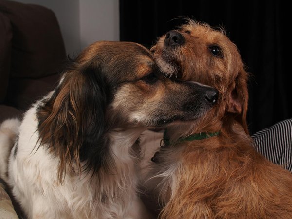 Exciting opportunities in truck driving jobs